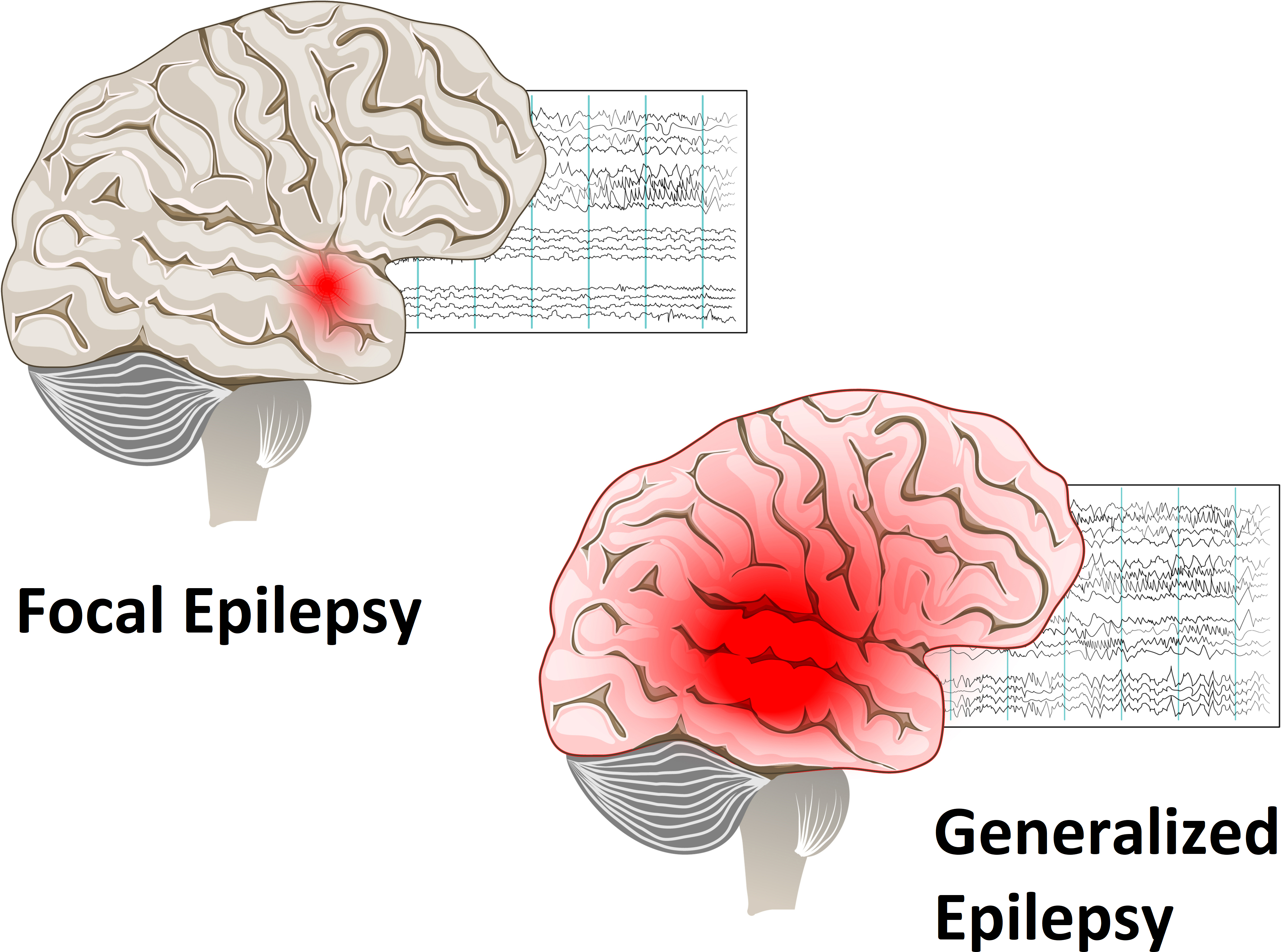 neurobusiness13a1b.jpg